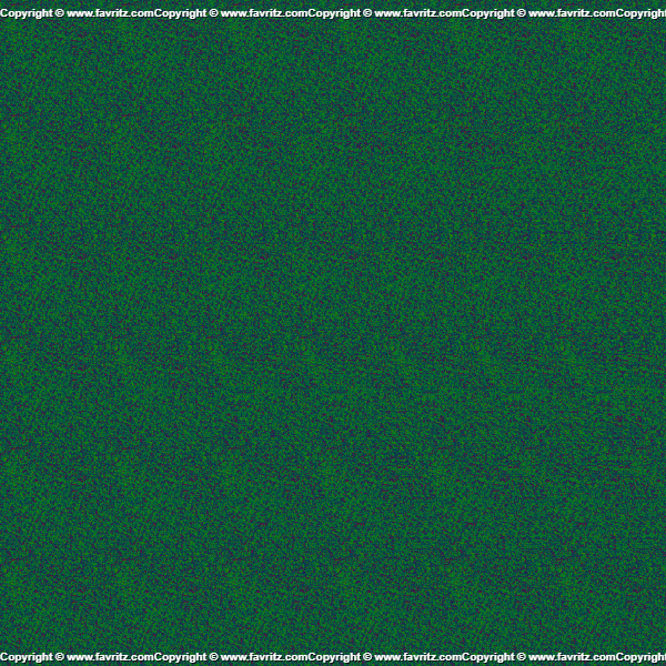 Hidden stereogram image